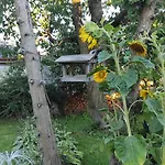 Hradecka *