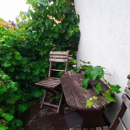 Hradecka *