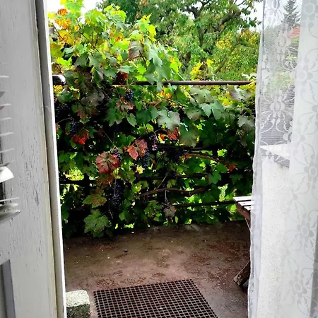 Apartment Telc Hradecka *