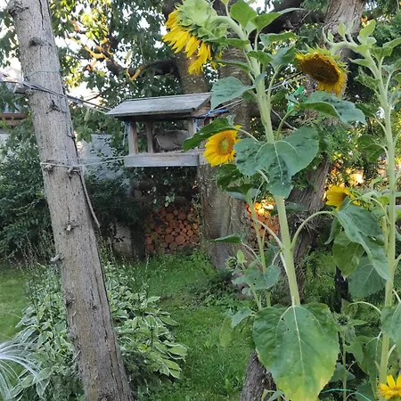 Appartement Hradecka