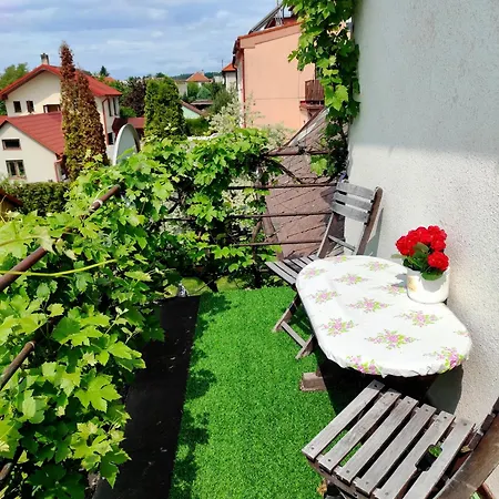 Apartment Telc Hradecka Apartment *