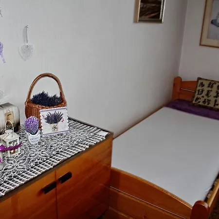 Apartment Telc Hradecka