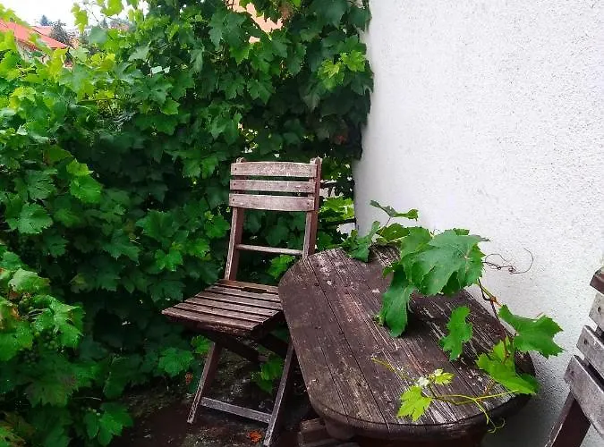 Hradecka *